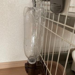 猫お迎えセット(ケージ・トイレ・水飲み・キャリー等)