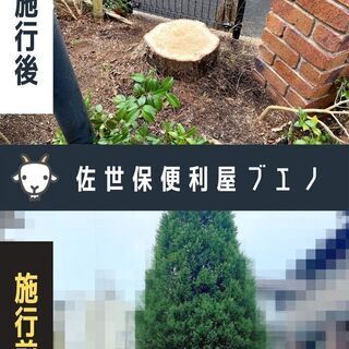 倒木被害の前に！ 背の高い木の伐採出来ます。佐世保便利屋 − 長崎県