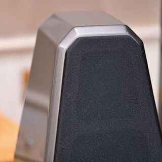 米国ウィソンオーディオ製スピーカー　Watch Surrond