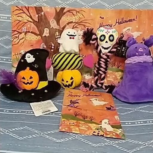 決まりました ペコボックス ハロウィン ふーちゃん 静岡のおもちゃ ぬいぐるみ の中古あげます 譲ります ジモティーで不用品の処分 決まりました ペコボックス ハロウィン ふーちゃん 静岡のおもちゃ ぬいぐるみ の中古あげます 譲ります ジモティーで不用品の処分