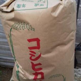 令和元年 農家直送 玄米30kg 残り３袋