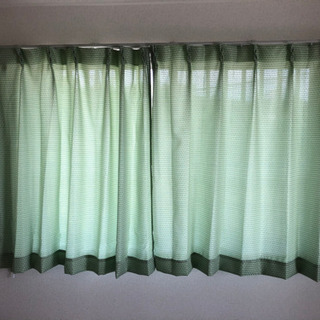 グリーンのカーテン