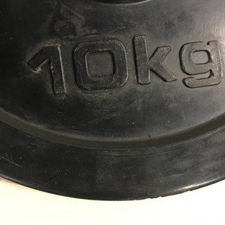 IGNIO ダンベルラバープレート 10kg×2