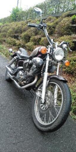 ビラーゴ250　(1237)