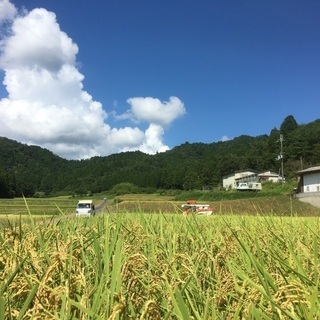 🌾 令和5年産　新米　京都丹波産コシヒカリ玄米 5kg•10kg...