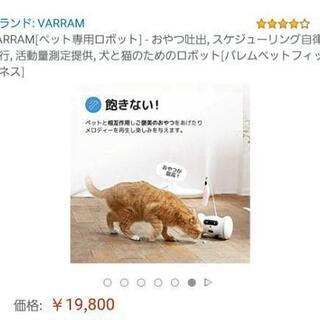 家電 ペット専用 ロボット おもちゃ 新品 未使用