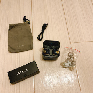 AVIOT アビオット TE-D01d Bluetoothイヤホン