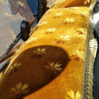 4点セット　17スーパーグレート用