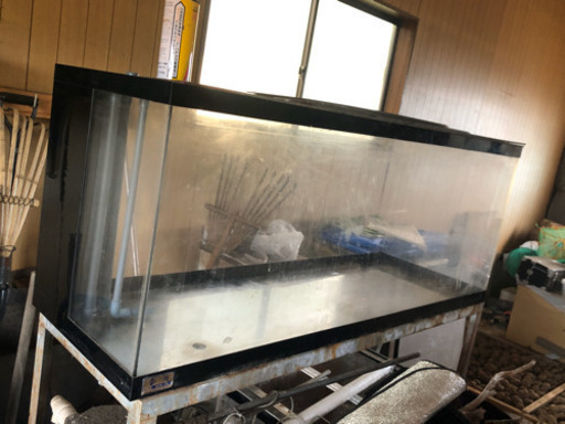 1500水槽と1200水槽★アクアリウム★熱帯魚