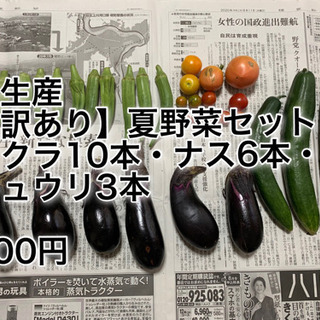 長生農家で獲れた【訳あり】夏野菜セット(オクラ10本、ナス6本、...