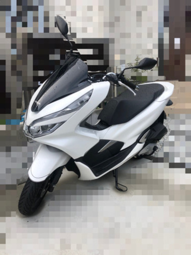 ホンダ pcx 125 jf81