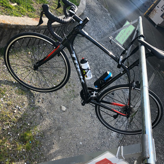 trek カーボンロード　高身長向け