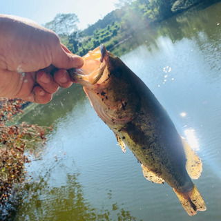 バス釣り初心者です！一緒にやれる方いませんか！