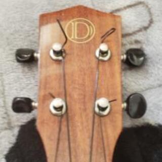 DCTのコンサートウクレレ