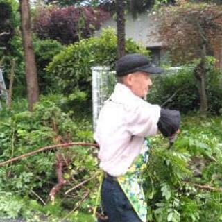 急募 造園 土木日払い可 年配の方大歓迎 横山覚心 四ツ小屋のその他の正社員の求人情報 グリーン環境設備合同会社 ジモティー