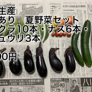 長生農家で獲れた【訳あり】夏野菜セット(オクラ10本、ナス6本、...