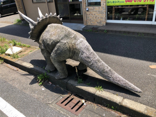 迫力満点！巨大なトリケラトプス売ります