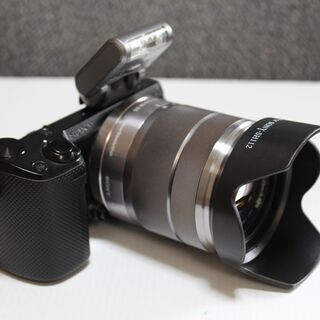 SONY ミラーレス一眼カメラ α NEX-5Rブラック 動作品 institutoloscher.net