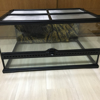 グラステラリウム 中古あげます 譲ります ジモティーで不用品の処分