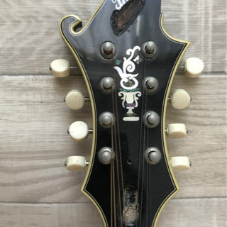 マンドリン　LOAR