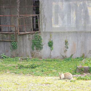 女性限定☆カメラ友達募集