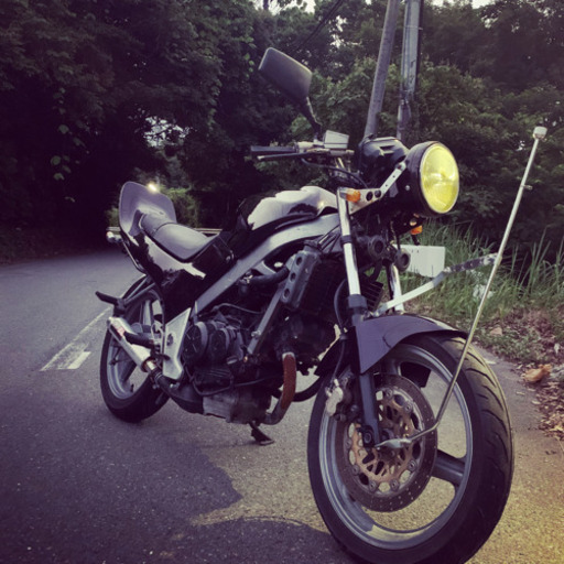 VTZ250 不動