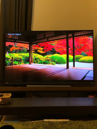 【新着】東芝 50型 4Kチューナー内蔵液晶テレビ レグザ