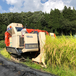 最終】新米コシヒカリ福井県勝山市産の玄米-No.03 30kg