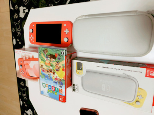 Switchライトとどうぶつの森セット