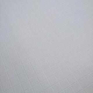 その他 東リ  浴室用床シート バスナフローレとバスナシールSS