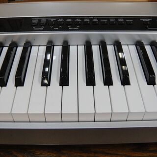 CASIO 電子ピアノ Privia PX-310