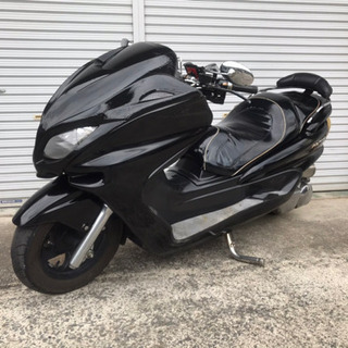【予約】 YAMAHA マジェ ビック マジェスティ その他観葉植物