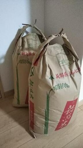 2019年産 コシヒカリ玄米30kg×2袋