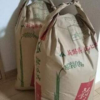 2019年産 コシヒカリ玄米30kg×2袋