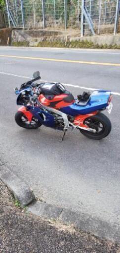希少NSR50
