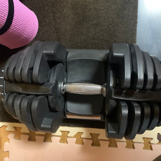 可変式ダンベル 40キロセット 片方ジャンク