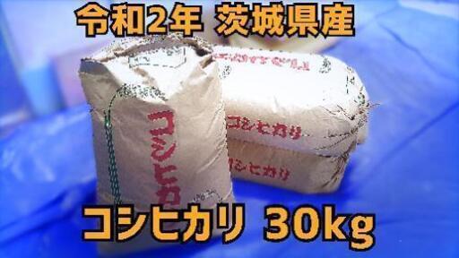 【限定3袋】古米 令和2年 茨城県産コシヒカリ 30kg