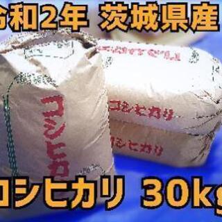 【限定3袋】古米 令和2年 茨城県産コシヒカリ 30kg 