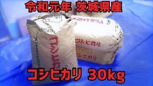 【コロナ禍応援価格】令和元年 茨城県産 コシヒカリ 30kg 【古米残り1袋】
