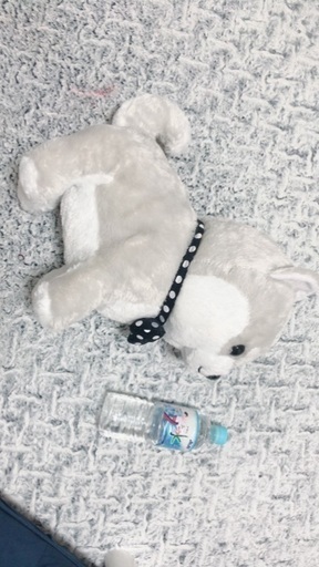 豆柴三兄弟白夜美品クレーンゲーム レタス 市川のおもちゃ ぬいぐるみ の中古あげます 譲ります ジモティーで不用品の処分 豆柴三兄弟白夜美品クレーンゲーム レタス 市川のおもちゃ ぬいぐるみ の中古あげます 譲ります ジモティーで不用品の処分