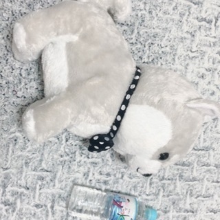 豆柴三兄弟白夜美品クレーンゲーム レタス 市川のおもちゃ ぬいぐるみ の中古あげます 譲ります ジモティーで不用品の処分