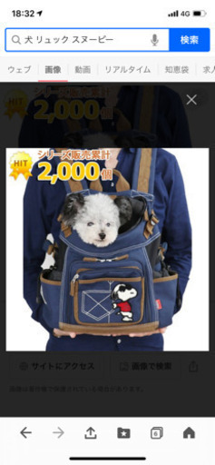 犬　抱っこ　リュック