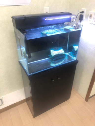 60センチ水槽セット
