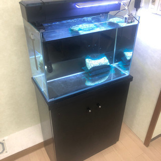 テトラ サイレントフレックスセット 60 60cmフレームレス