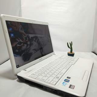 東芝 Dynabook☆早い者勝ち☆初心者OK♪高速SSD高性能パソコン☆