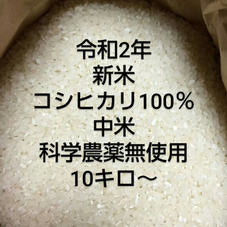 科学肥料、農薬無使用中米コシヒカリ10キロ～