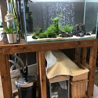 60㎝水槽セット 水槽台付き - その他 