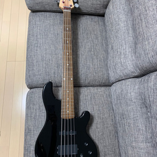 美品5弦ベース LAKLAND ソフトケース付