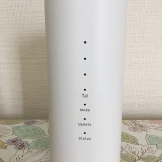 WiMAX HOME01