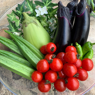 とうもろこし（ゴールドラッシュ）夏野菜と鳴門金時　玉ねぎ　じゃが...